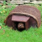 Hedgehog House