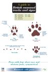 FSC Guide to  British Mammal Tracks & Signs